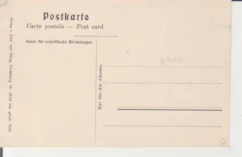 Heidelberg Panorama Hotel Darmstädter Hof Litho ngl 225.997