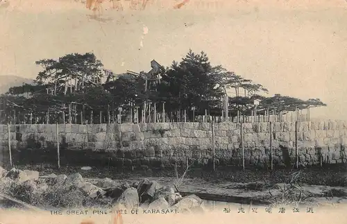 Japan Karasaki - The Great Pine Tree ngl 160.470