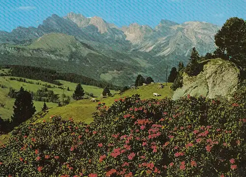 Val Gardene Alpe di Siusi verso Le Odle gl1980? E1613