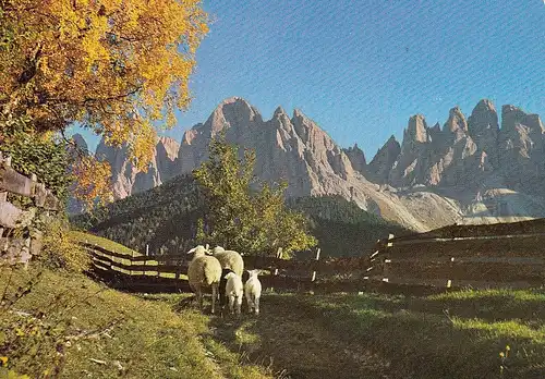 Val di Funes, Gruppo delle Odle gl1972 E1765