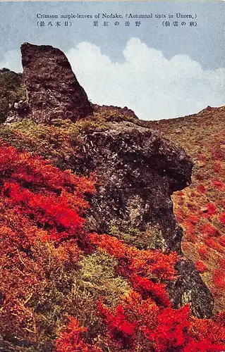 Japan Unzen - Herbstlich roter Ahorn bei Nodake ngl 160.615