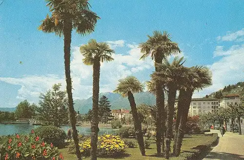 Locarno, Lago Maggiore, Giardini Lungolago gl1964 E2108