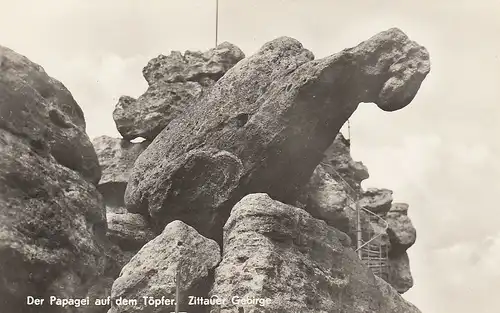 Oybin, Der Papagei auf dem Töpfer, Zittauer Gebirge ngl E1928