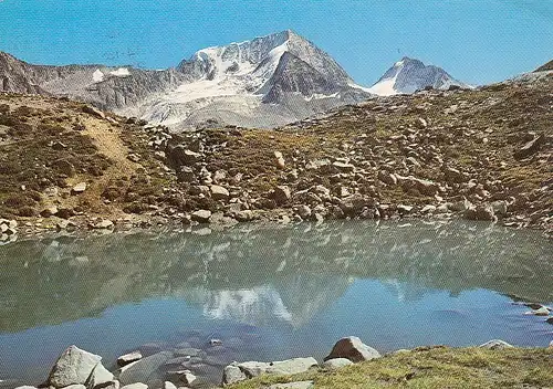 Gruppo Vedrette di Ries, Rieserferner Gruppe, Hochgall und Wildgall gl1974 E2231