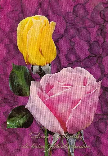 Geburtstag-Wünsche mit Rosen glum 1960? E2283