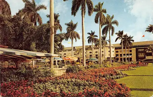 Hialeah Park FL View of Gardens and Grandstand gl1965 164.160