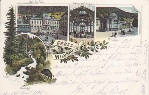 Bad Wildbad LITHO Trinkhalle, Karlsbad, Wasserfall gl1900 225.421