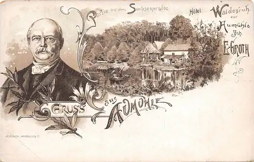 Aumühle b. Hamburg Litho Partie aus dem Sachsenwalde Hotel Waldesruh ngl 165.650