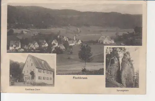 Fischbrunn (Pommelsbrunn) Gasthaus Dorn, Panorama, Sprungstein ngl 228.234