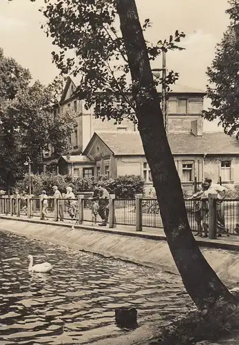 Strausberg bei Berlin, am Straus-See gl1968 E2259