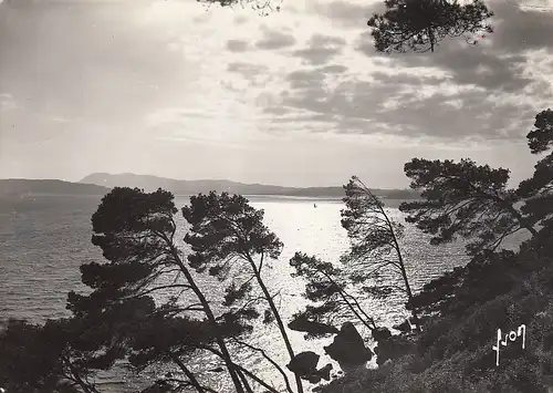 Toulon (Var) Au Cap Brun gl1964? E2492