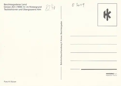Berchtesgadener Land, Gotzen-Alm, Teufelshörner und Übergossene Alm ngl E3049
