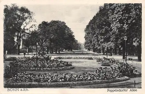 Bonn Poppelsdorfer Allee gl1934 163.471