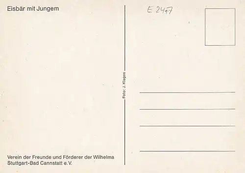 Eisbär mit Jungem ngl E2417