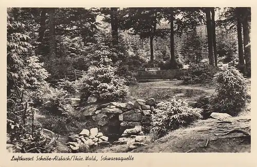 Scheibe-Alsbach, Thür.Wald, Schwarzaquelle ngl E4704