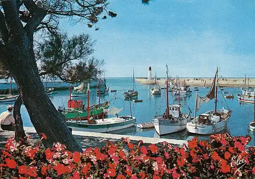 Ile d'Oléron (Char.-Marit.) La Cotini?ere, La Flotille dans le Port gl1967 E2525