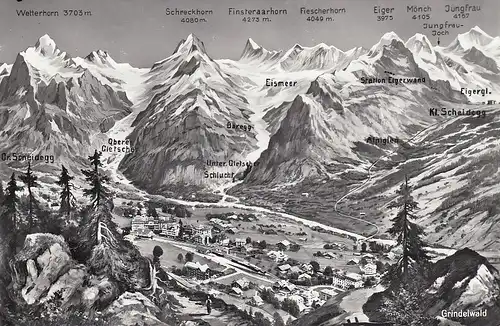 Grindelwald Panoramakarte ngl E1519