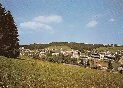 Schönwald im Schwarzwald, Panorama ngl E3393