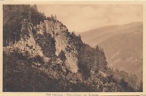 Bad Harzburg, Rabenklippe und Eckertal ngl E2798