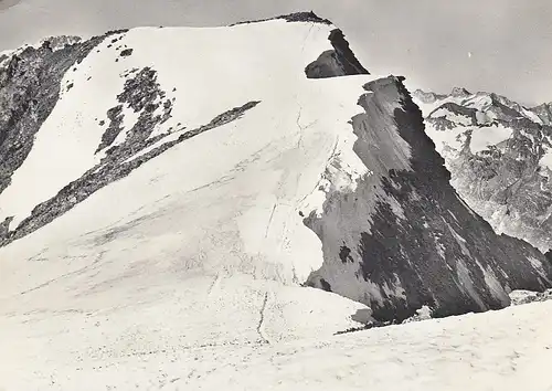 Piz Corvatsch im Schnee ngl E2854