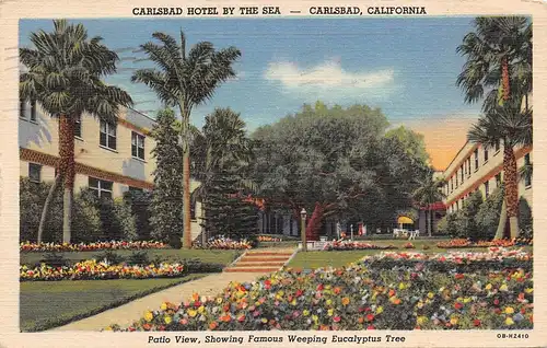 Carlsbad CA Carlsbad Hotel By The Sea View with Eucalyptus Tree gl1948 164.053