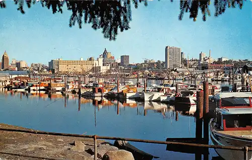 Canada Vancouver Harbour and Pleasure Boats View taken form Stanley Park gl1967 164.217