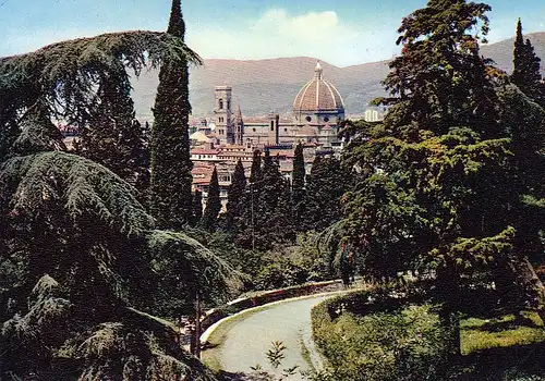 Firenze, Panorama ngl E2835