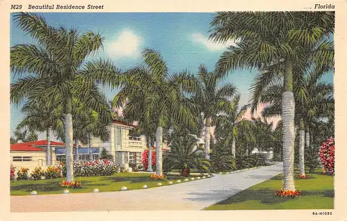 Florida Beautiful Residence Street ngl 164.137