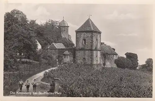 Die Kropsburg bei St. Martin (Rheinpfalz) ngl E3857