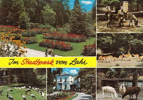 Lahr im Schwarzwald, Stadtpark, Mehrbildkarte ngl E2978
