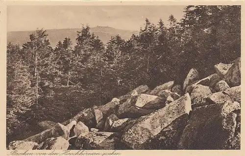 Brocken von den Hirschhörnern gesehen ngl E5254