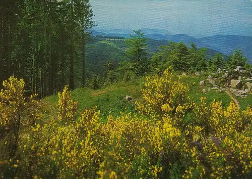 Schwarzwaldhochstraße, Blick ins Rheintal ngl E3212