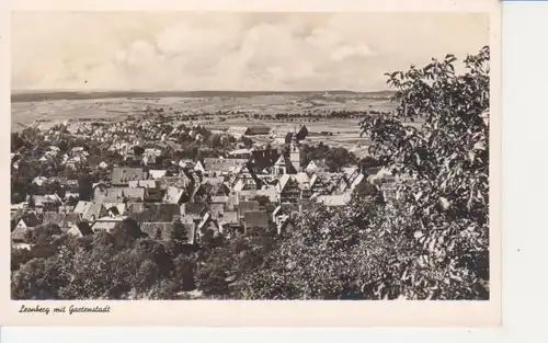 Leonberg Panorama mit Gartenstadt gl1955 226.312