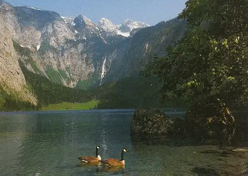 Obersee mit Teufelshörner ngl E2999