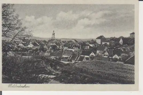 Waldmünchen - Panorama ngl 228.390
