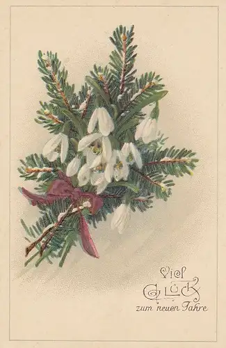 Neujahr-Grüße mit Schneeglöckchen ngl E5356