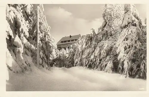 Oybin, Zittauer Gebirge, Hochwaldbaude ngl E4648