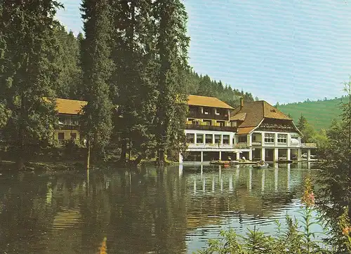 Freudenstadt im Schwarzwald, Hotel-Café Langenwaldsee ngl E3366