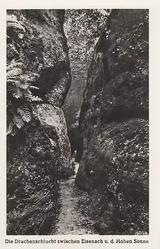 Drachenschlucht zwischen Eisenach und der Hohen Sonne ngl E4722