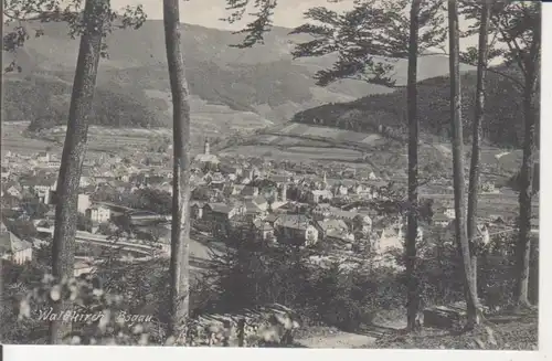 Waldkirch im Breisgau Panorama gl1910 227.162