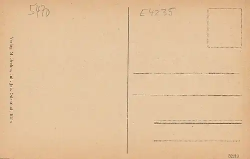 Andernach am Rhein, Total vom Kranenberg ngl E4235