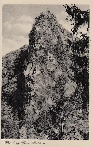 Ilsenburg, Harz, der Ilsestein ngl E4765