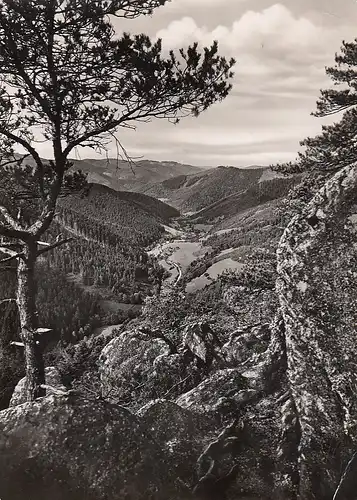 Wolfach Schwarzwald (?) Blick v. Apfelfelsen ins Reichenbachtal gl1957 E2485