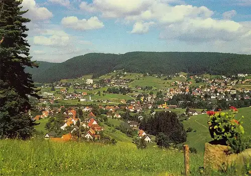 Baiersbronn im Schwarzwald, Panorama ngl E3355