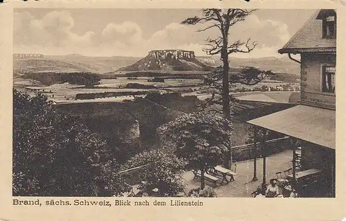 Brand, Sächs.Schweiz, Blick zum Lilienstein gl1910 E5442