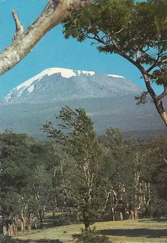 Tansania, Mount Kilimanjaro ngl E4907