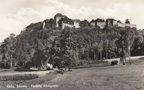 Sächs.Schweiz, Festung Königstein ngl E4927