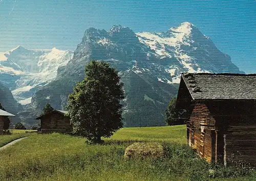 bei Grindelwald, Fiescherhörner, Hörnli und Eiger ngl E3721