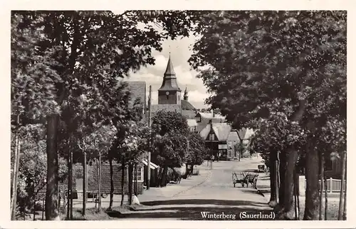 Winterberg Sauerland Blick durch Allee ngl 164.693