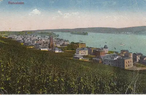 Blick auf Rüdesheim a. Rhein ngl E5447